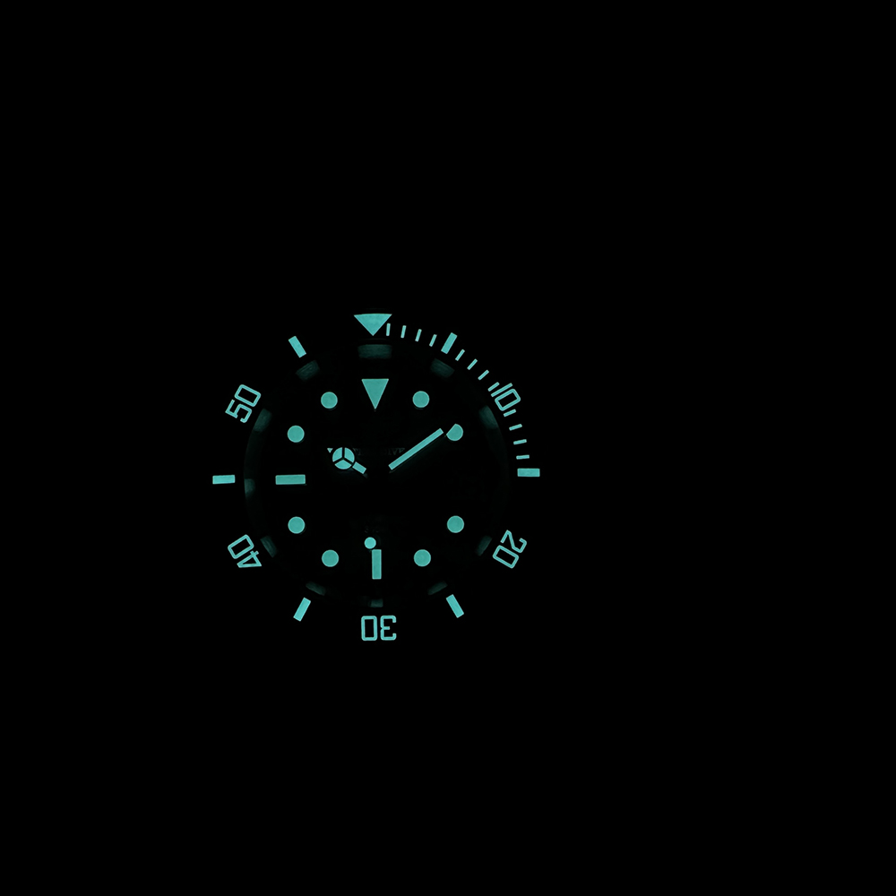 Steeldive New Watch SD1953C Wa - đánh giá và giá Diver Watch 300M